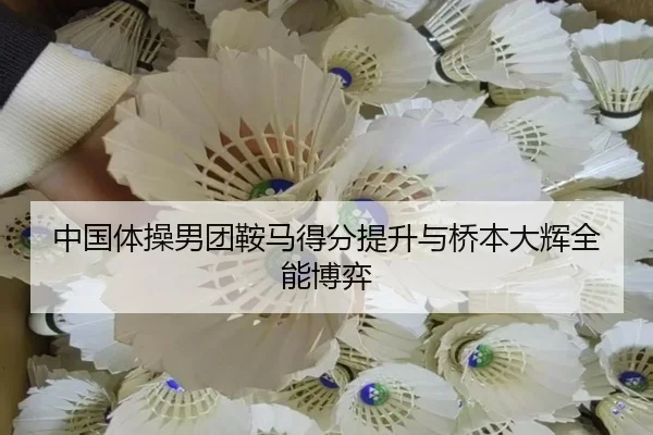 zhong-guo-ti-cao-nan-tuan-an-ma-de-fen-ti-sheng-yu-qiao-ben-da-hui-quan-neng-bo-yi-2-777.jpg