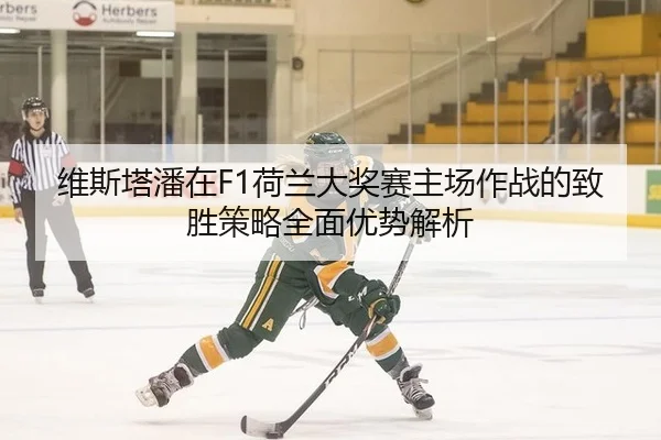 维斯塔潘在F1荷兰大奖赛主场作战的致胜策略全面优势解析