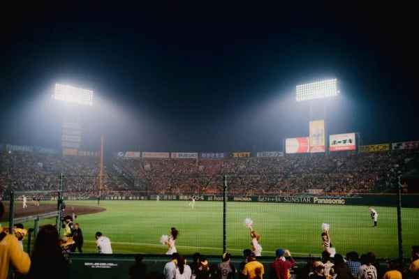 baseball stadium lights